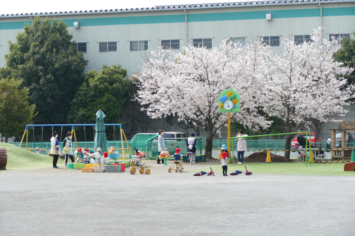 の写真2
