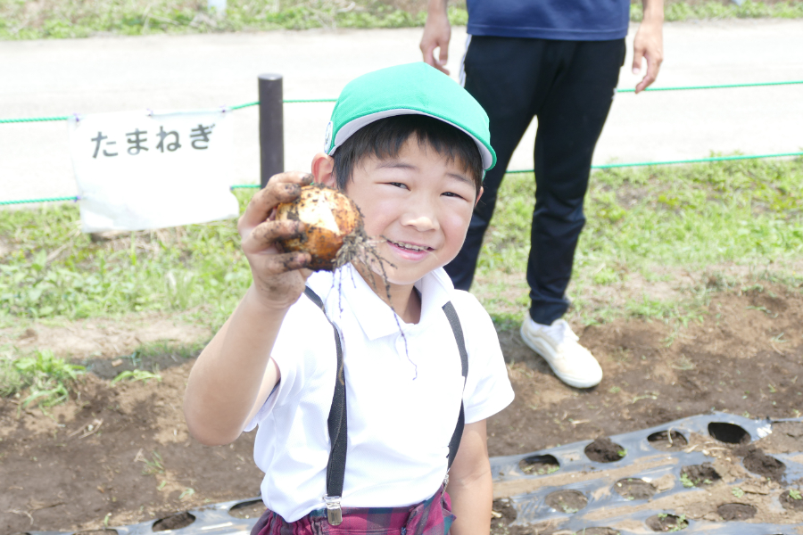 の写真1