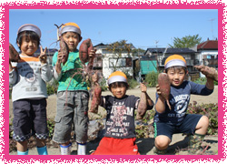 さつまいも掘り